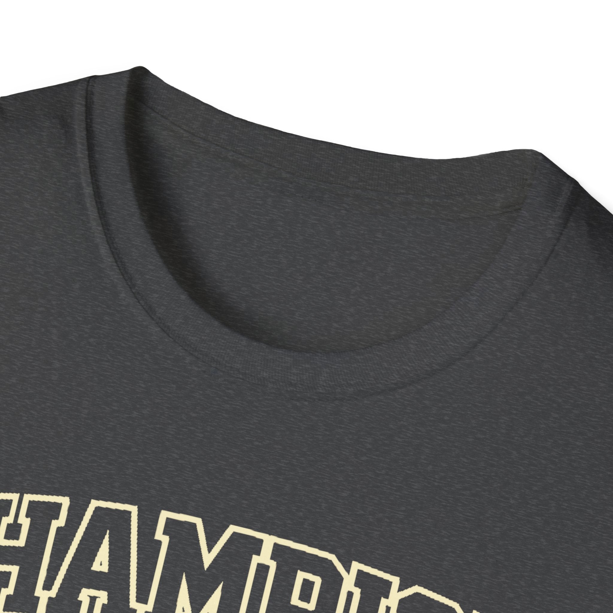 champion T-shirt