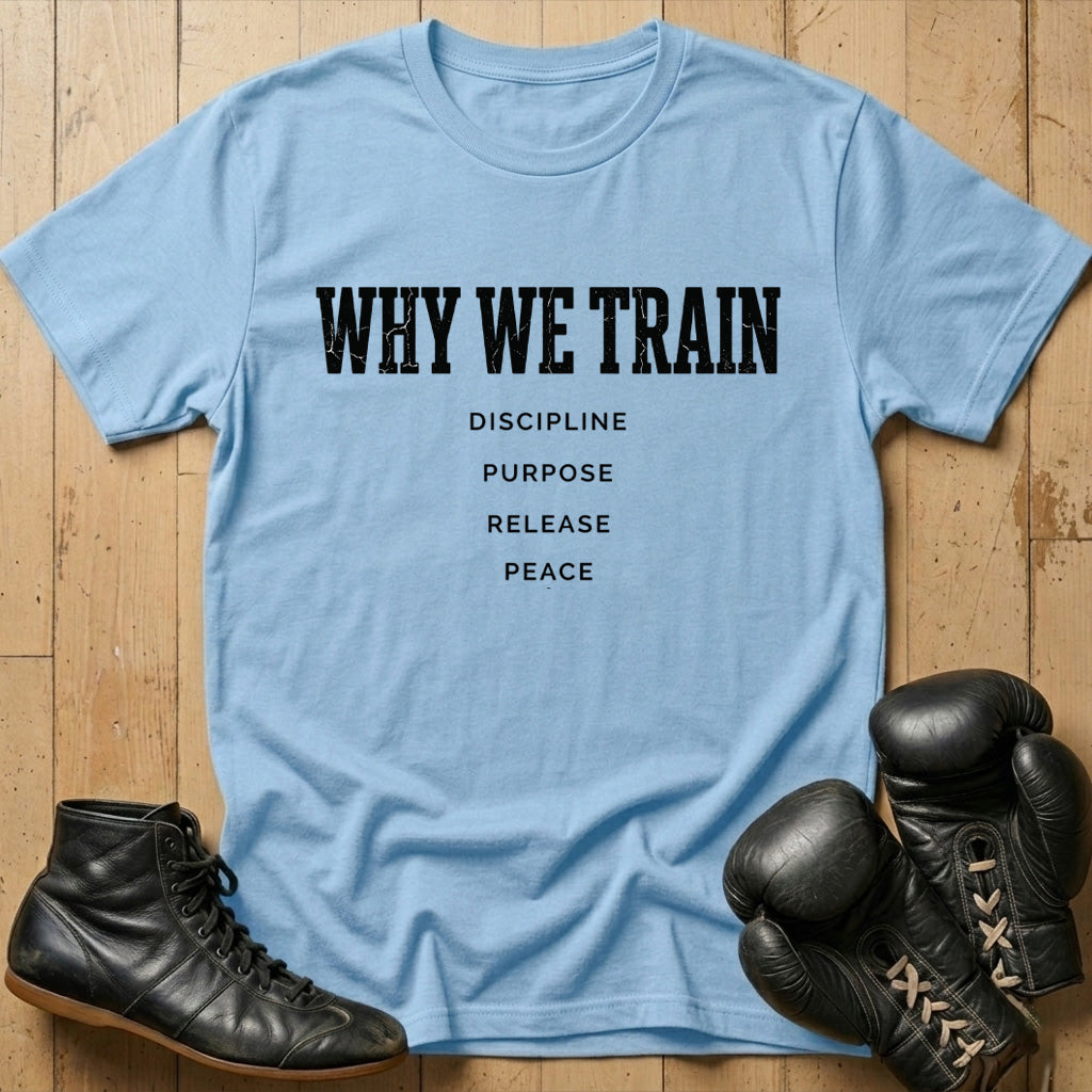 Why We Train T-shirt