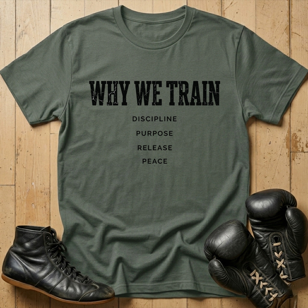 Why We Train T-shirt