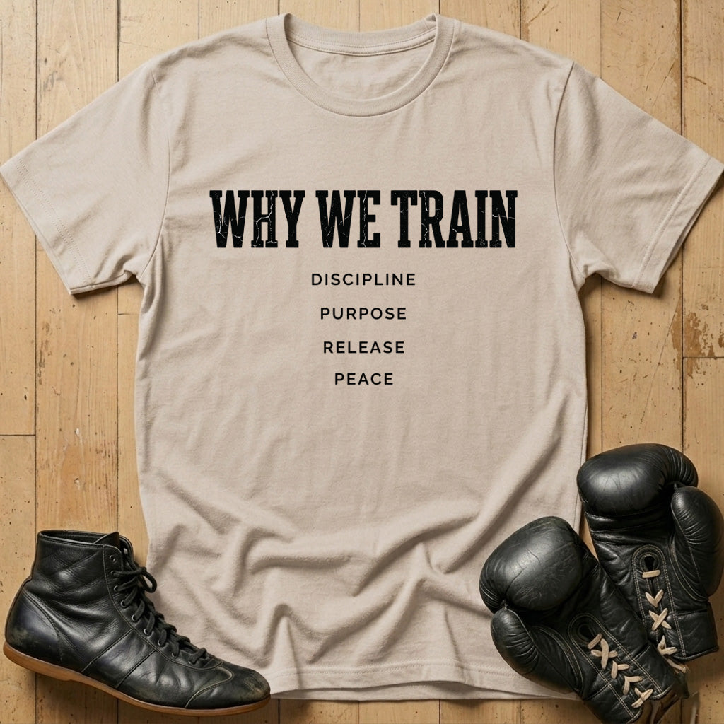 Why We Train T-shirt
