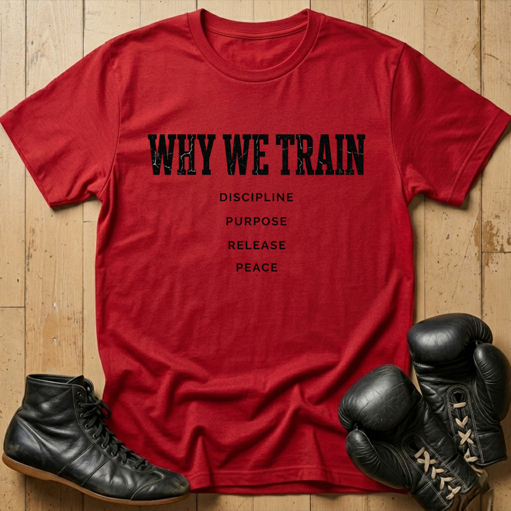 Why We Train T-shirt