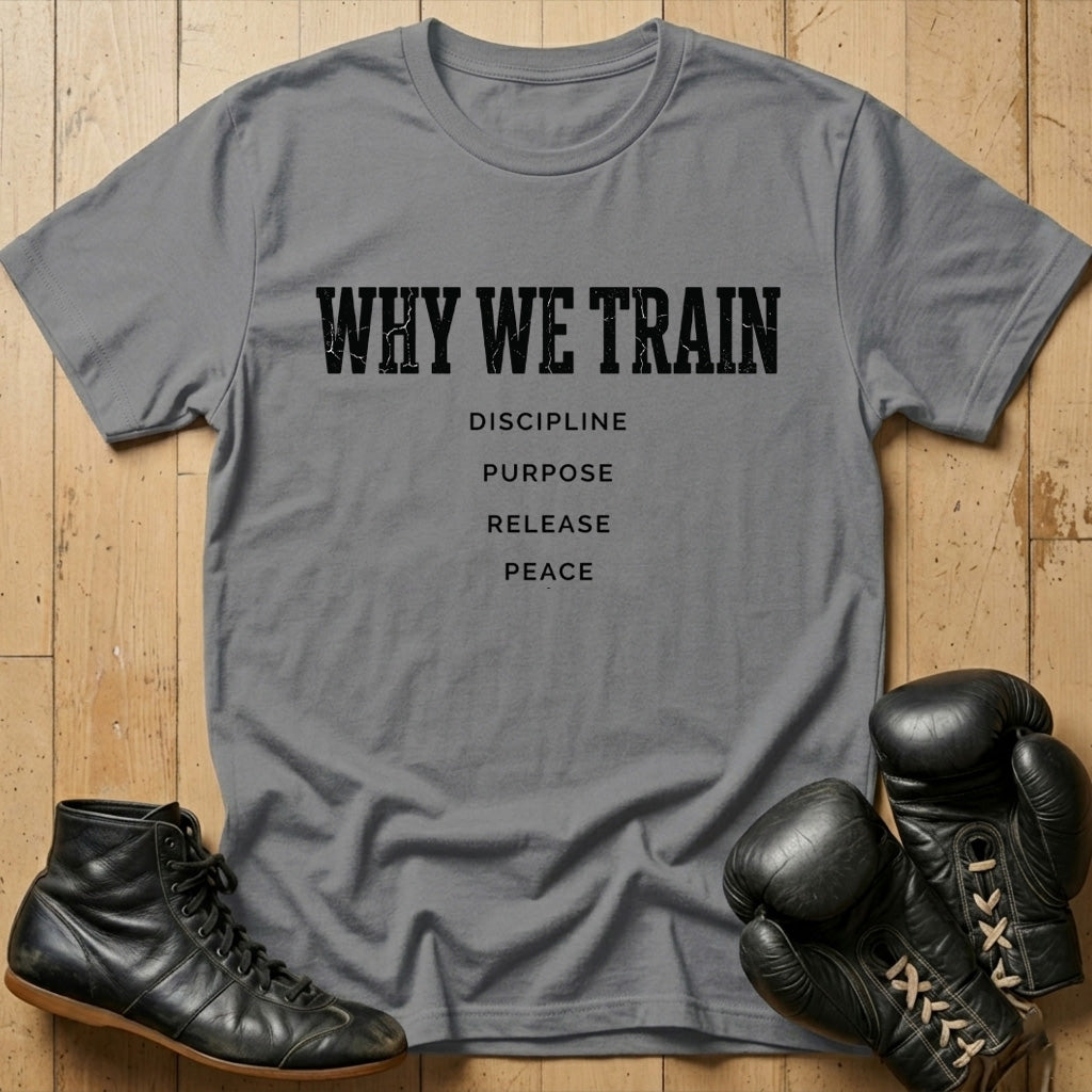 Why We Train T-shirt